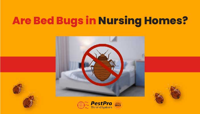 Bed Bugs in Nursing Homes