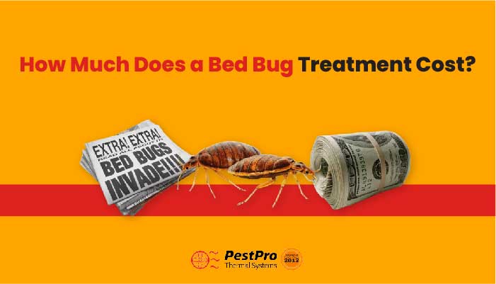 Bed Bug Treatment cost